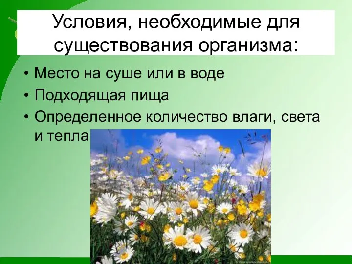 Условия, необходимые для существования организма: Место на суше или в воде