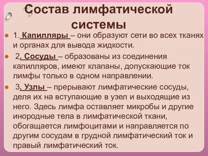 Состав лимфатической системы 1. Капилляры – они образуют сети во всех