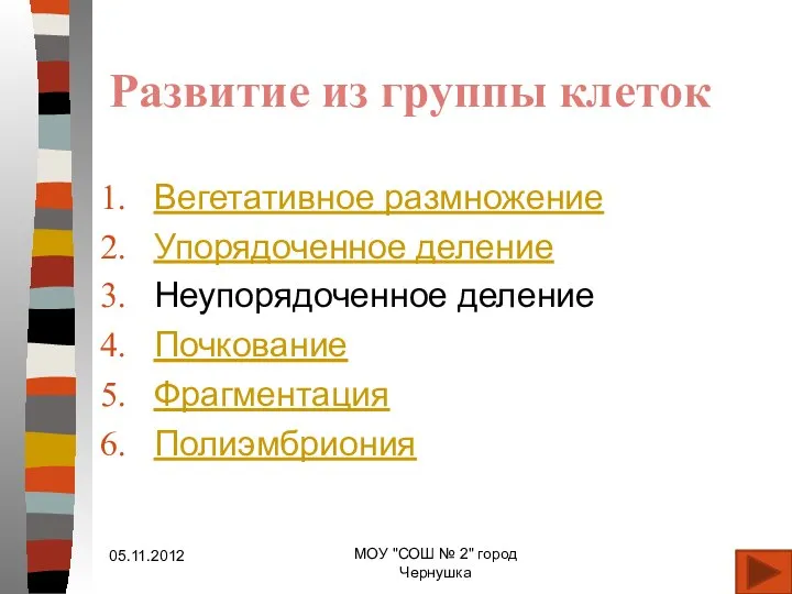 Развитие из группы клеток Вегетативное размножение Упорядоченное деление Неупорядоченное деление Почкование