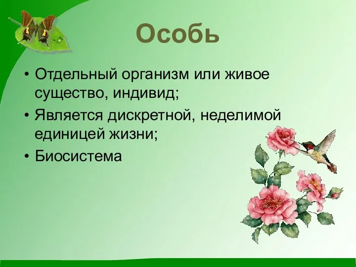 Особь Отдельный организм или живое существо, индивид; Является дискретной, неделимой единицей жизни; Биосистема