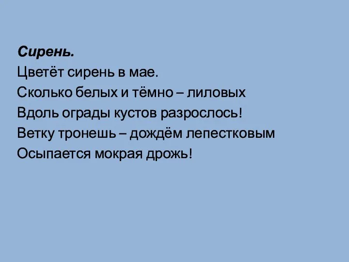 Сирень. Цветёт сирень в мае. Сколько белых и тёмно – лиловых