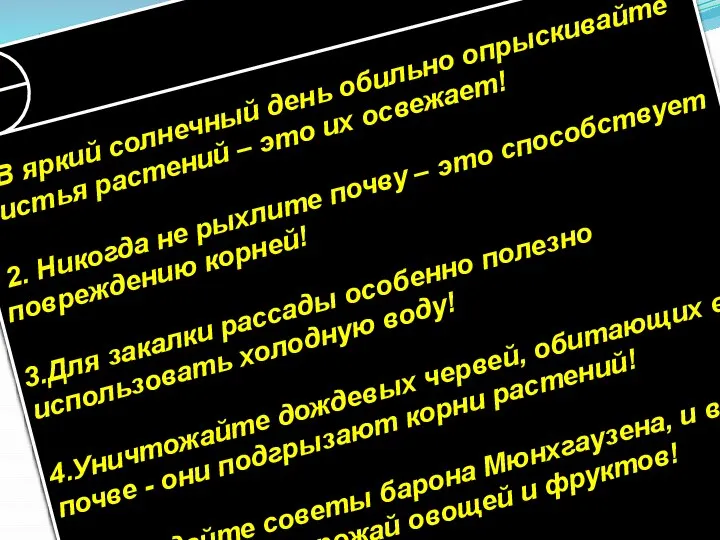 1. В яркий солнечный день обильно опрыскивайте листья растений – это