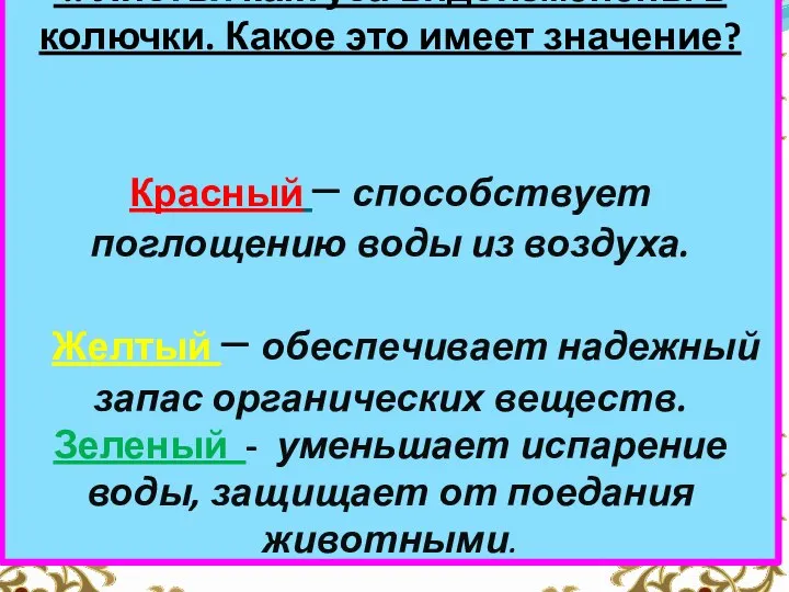 4. Листья кактуса видоизменены в колючки. Какое это имеет значение? Красный