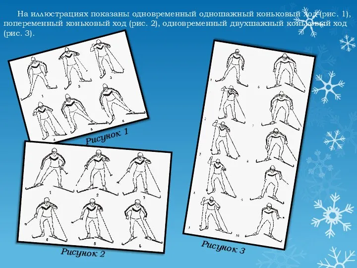 На иллюстрациях показаны одновременный одношажный коньковый ход (рис. 1), попеременный коньковый