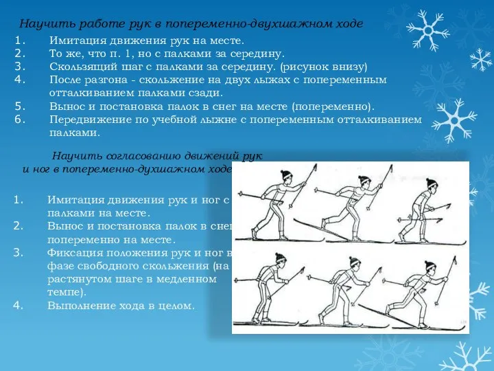 Научить работе рук в попеременно-двухшажном ходе Имитация движения рук на месте.