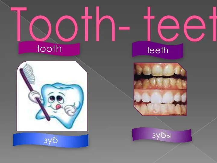 Tooth- teeth tooth зуб зубы teeth