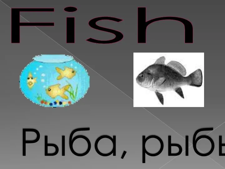 Fish Рыба, рыбы