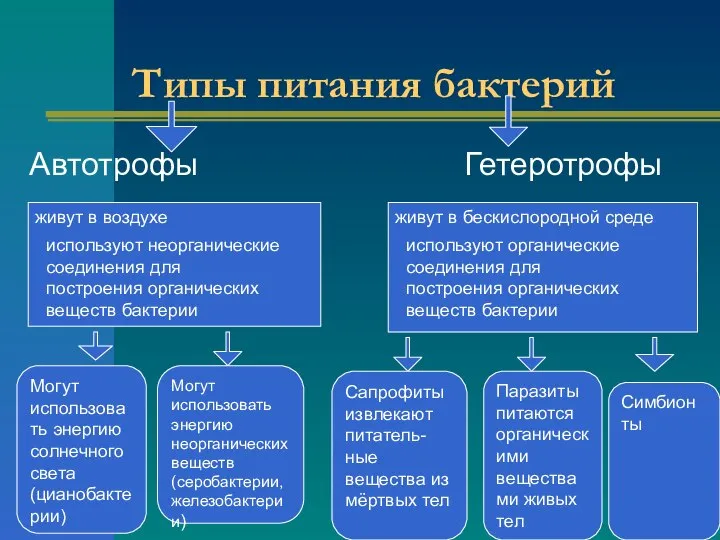 Типы питания бактерий Автотрофы Гетеротрофы живут в воздухе живут в бескислородной