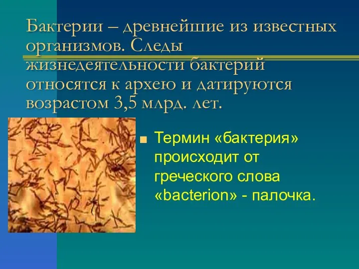 Бактерии – древнейшие из известных организмов. Следы жизнедеятельности бактерий относятся к