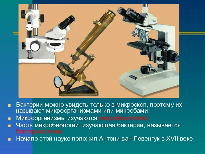 Бактерии можно увидеть только в микроскоп, поэтому их называют микроорганизмами или