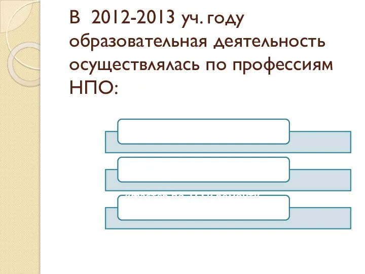 В 2012-2013 уч. году образовательная деятельность осуществлялась по профессиям НПО: