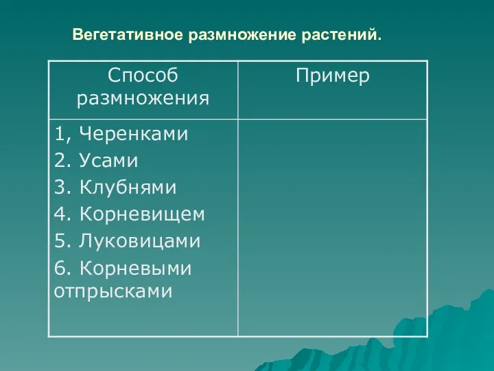 Вегетативное размножение растений.