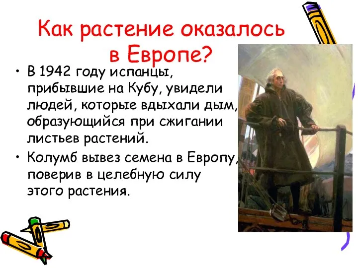 Как растение оказалось в Европе? В 1942 году испанцы, прибывшие на