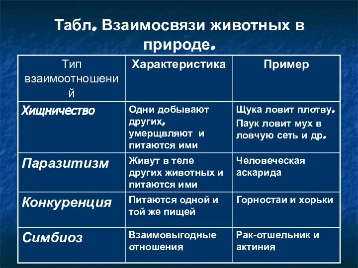 Табл. Взаимосвязи животных в природе.