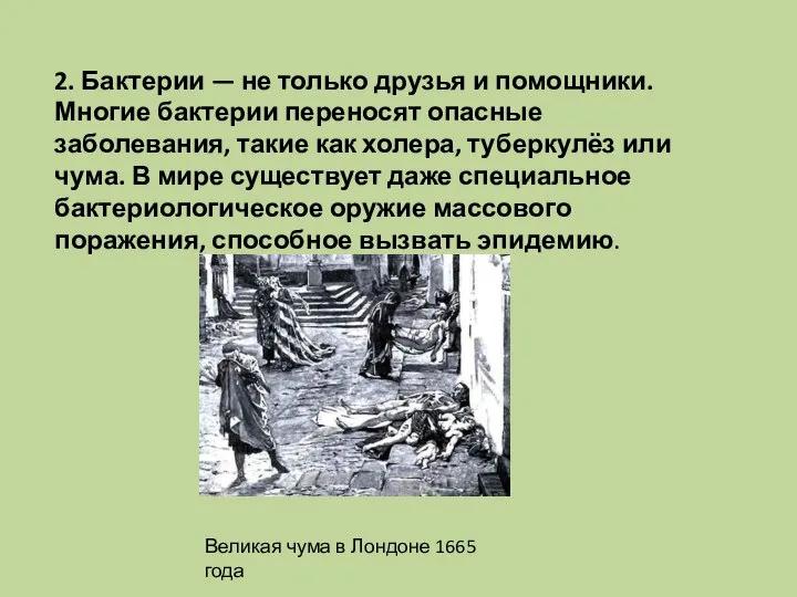 2. Бактерии — не только друзья и помощники. Многие бактерии переносят