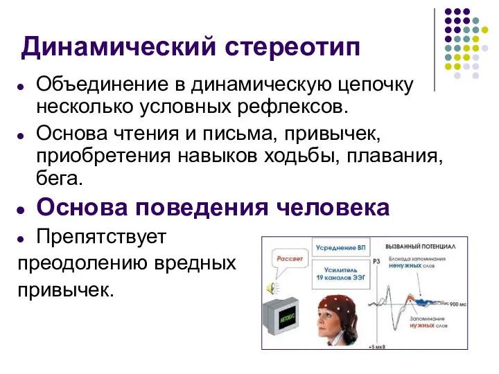 Динамический стереотип Объединение в динамическую цепочку несколько условных рефлексов. Основа чтения