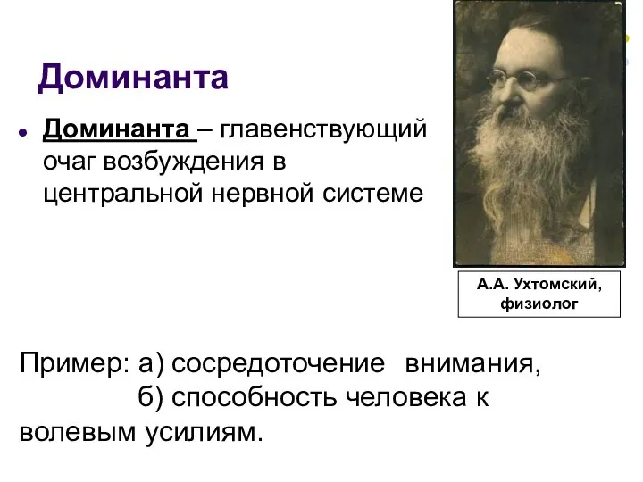 Доминанта Доминанта – главенствующий очаг возбуждения в центральной нервной системе Пример: