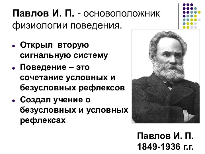 Павлов И. П. - основоположник физиологии поведения. Павлов И. П. 1849-1936