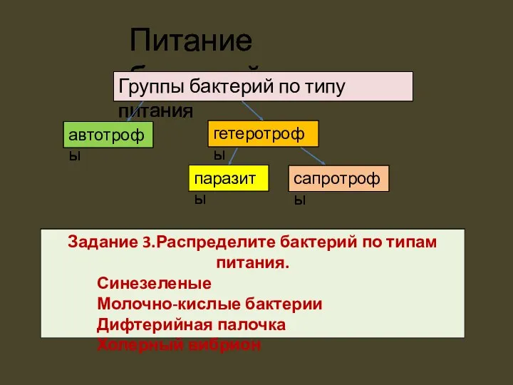 Питание бактерий автотрофы гетеротрофы паразиты сапротрофы Группы бактерий по типу питания