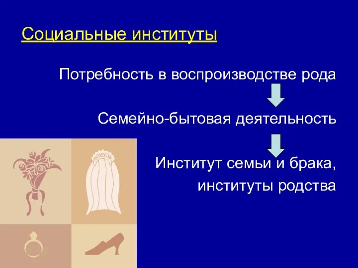 Социальные институты Потребность в воспроизводстве рода Семейно-бытовая деятельность Институт семьи и брака, институты родства