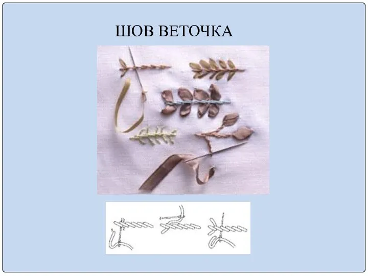 ШОВ ВЕТОЧКА