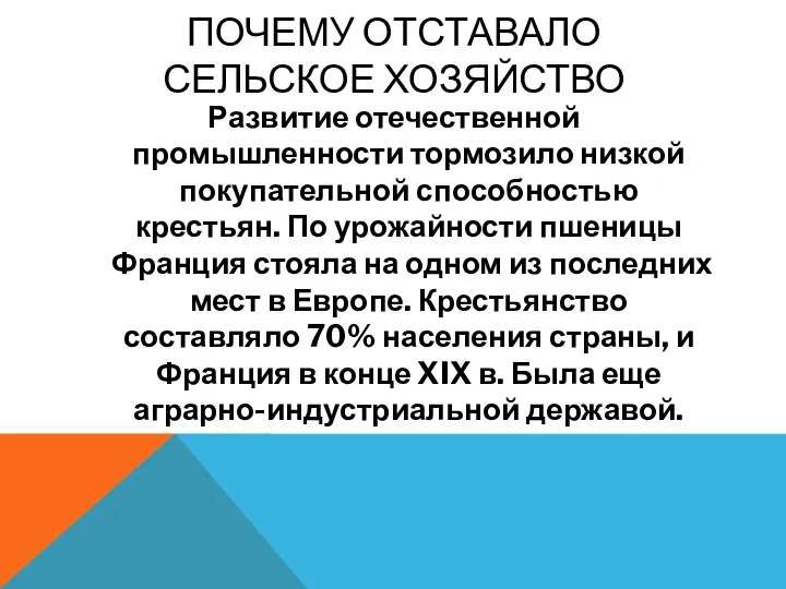 Почему отставало сельское хозяйство Развитие отечественной промышленности тормозило низкой покупательной способностью