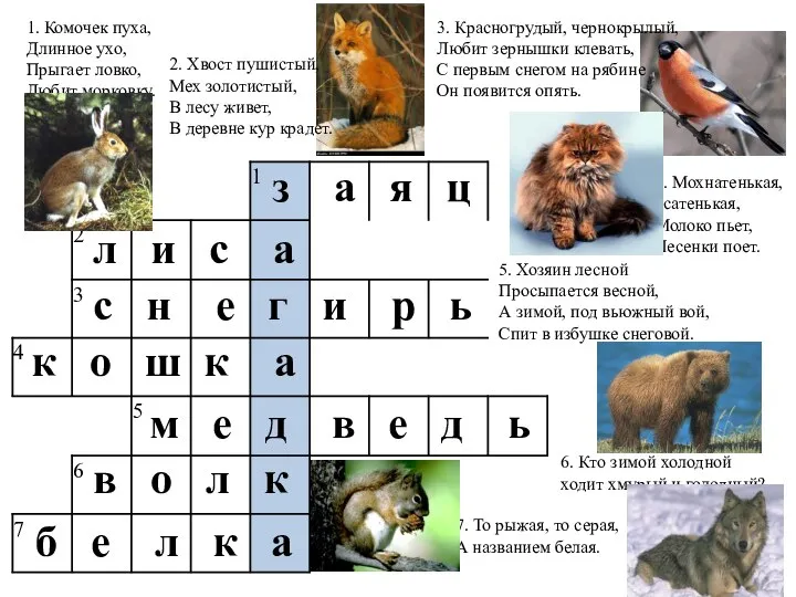 7. То рыжая, то серая, А названием белая. 1. Комочек пуха,