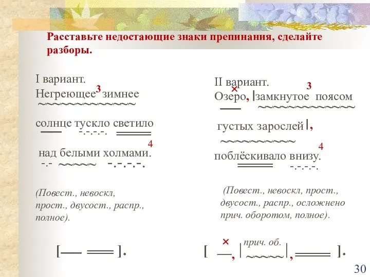 Расставьте недостающие знаки препинания, сделайте разборы. I вариант. Негреющее зимнее солнце