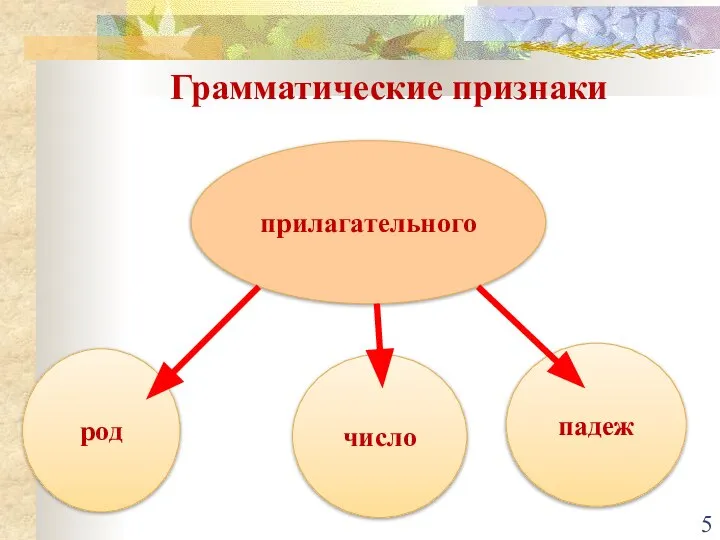 род прилагательного число падеж Грамматические признаки