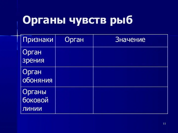 Органы чувств рыб