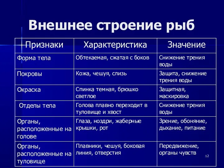 Внешнее строение рыб