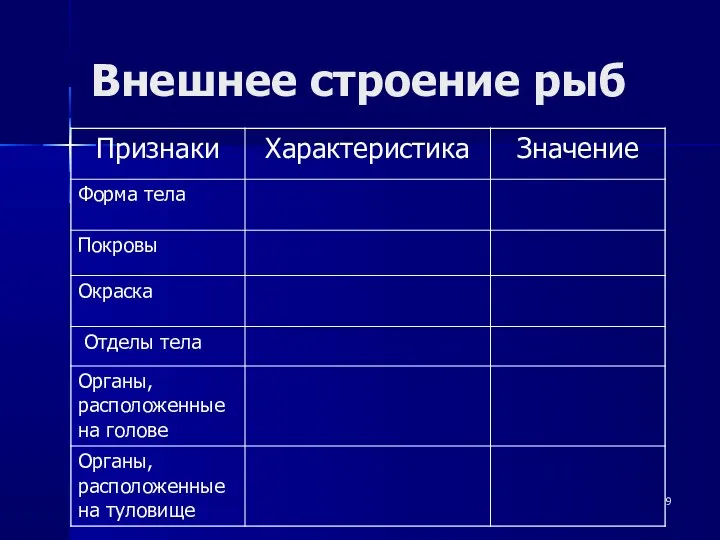 Внешнее строение рыб