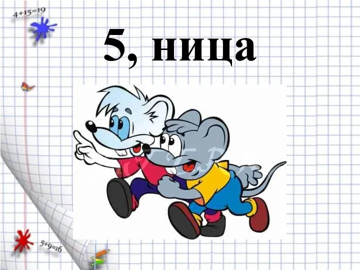 5, ница