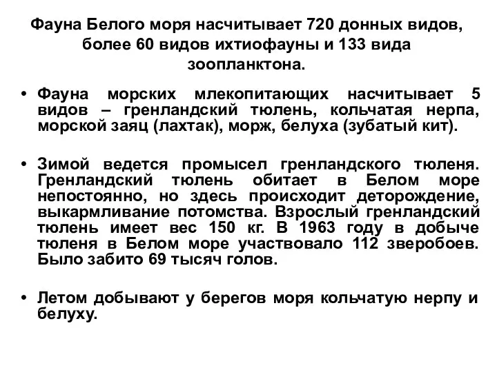 Фауна Белого моря насчитывает 720 донных видов, более 60 видов ихтиофауны