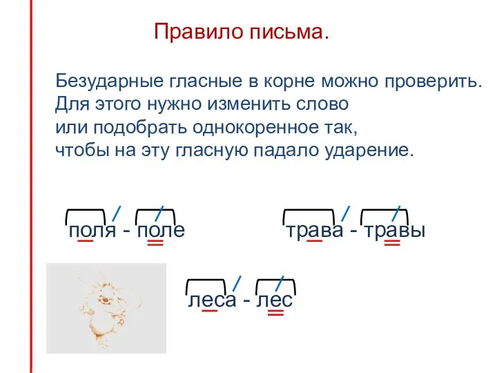 Правило письма. Безударные гласные в корне можно проверить. Для этого нужно