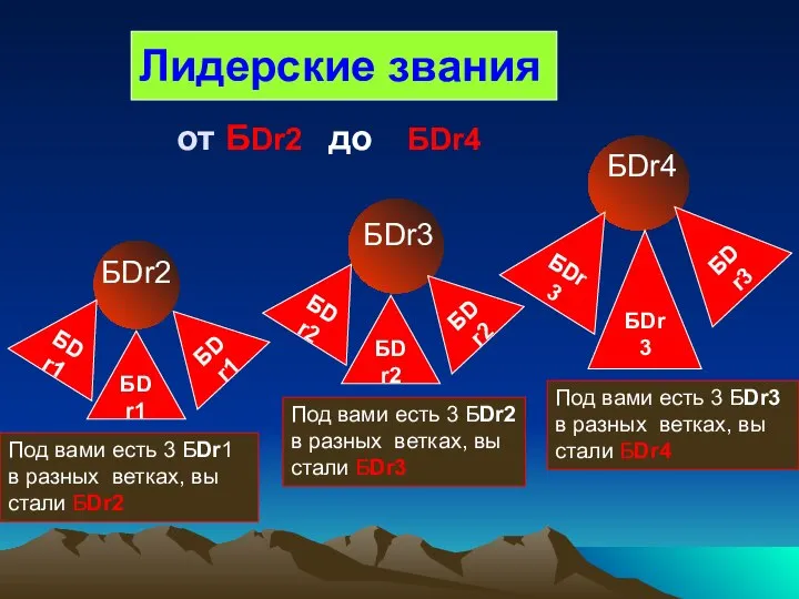 Лидерские звания БDr2 Под вами есть 3 БDr1 в разных ветках,