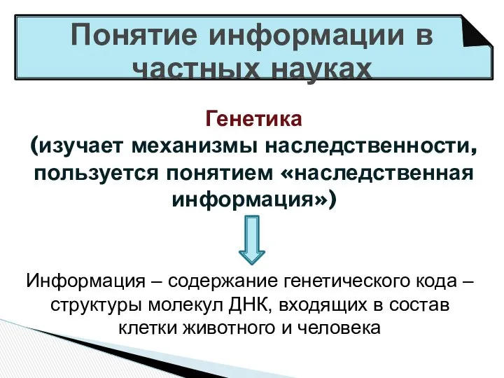 Понятие информации в частных науках Генетика (изучает механизмы наследственности, пользуется понятием