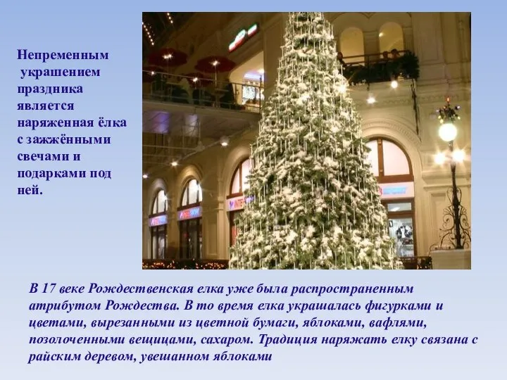 В 17 веке Рождественская елка уже была распространенным атрибутом Рождества. В
