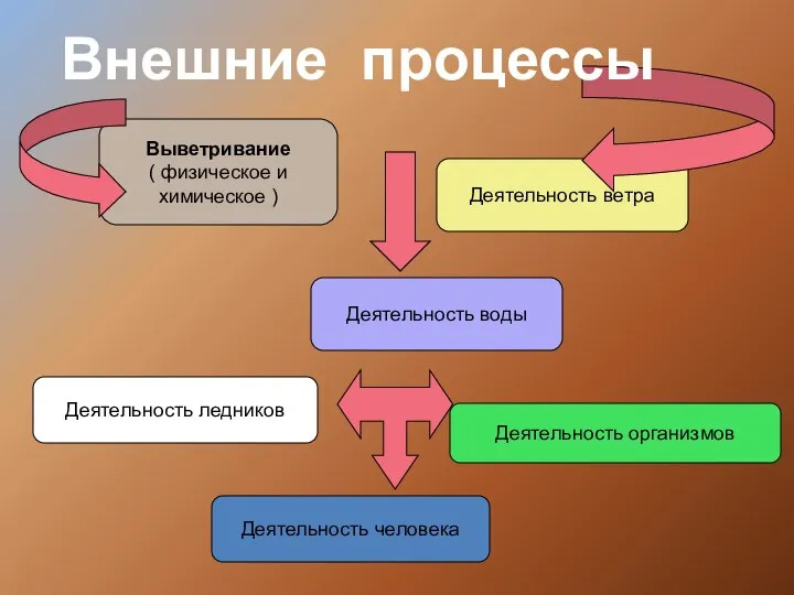 Выветривание ( физическое и химическое ) Деятельность воды Деятельность ветра Деятельность