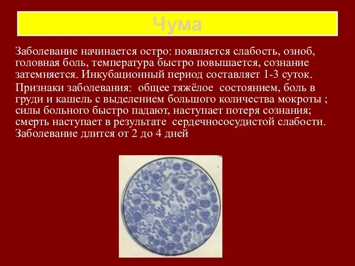 Чума Заболевание начинается остро: появляется слабость, озноб, головная боль, температура быстро