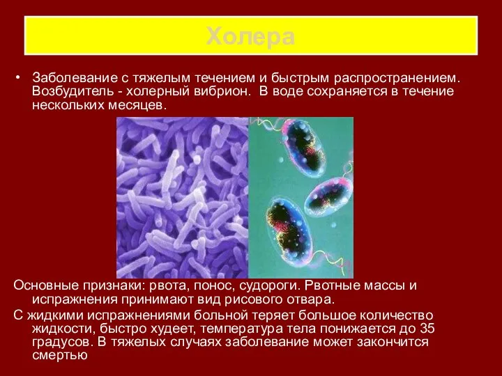 Холера Заболевание с тяжелым течением и быстрым распространением. Возбудитель - холерный