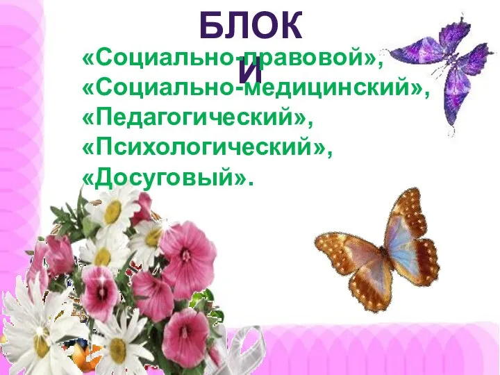 БЛОКИ «Социально-правовой», «Социально-медицинский», «Педагогический», «Психологический», «Досуговый».