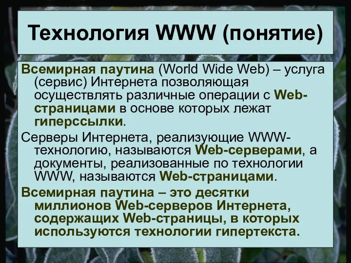 Технология WWW (понятие) Всемирная паутина (World Wide Web) – услуга (сервис)