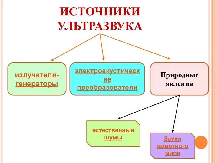 ИСТОЧНИКИ УЛЬТРАЗВУКА излучатели-генераторы электроакустические преобразователи Природные явления естественные шумы Звуки животного мира