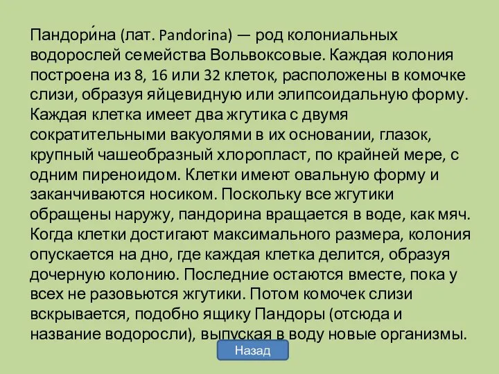 Пандори́на (лат. Pandorina) — род колониальных водорослей семейства Вольвоксовые. Каждая колония