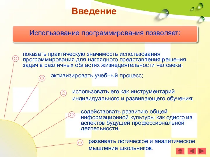 использовать его как инструментарий индивидуального и развивающего обучения; Использование программирования позволяет: