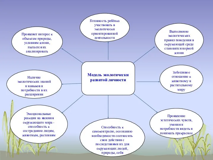 Модель экологически развитой личности Готовность ребёнка участвовать в экологически ориентированной деятельности
