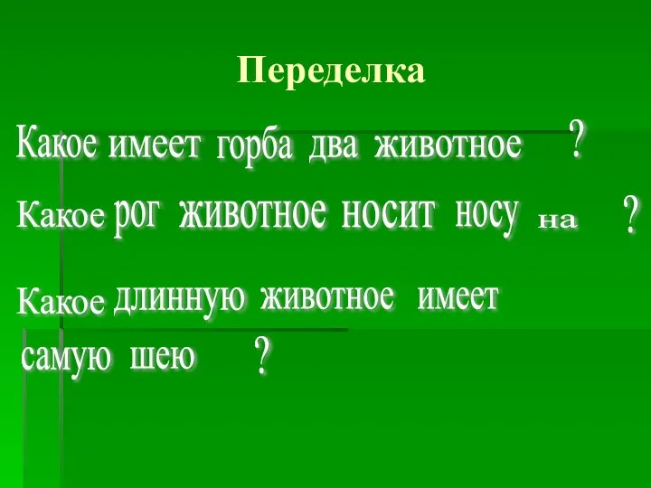 Переделка Какое животное имеет два горба ? Какое животное на носу