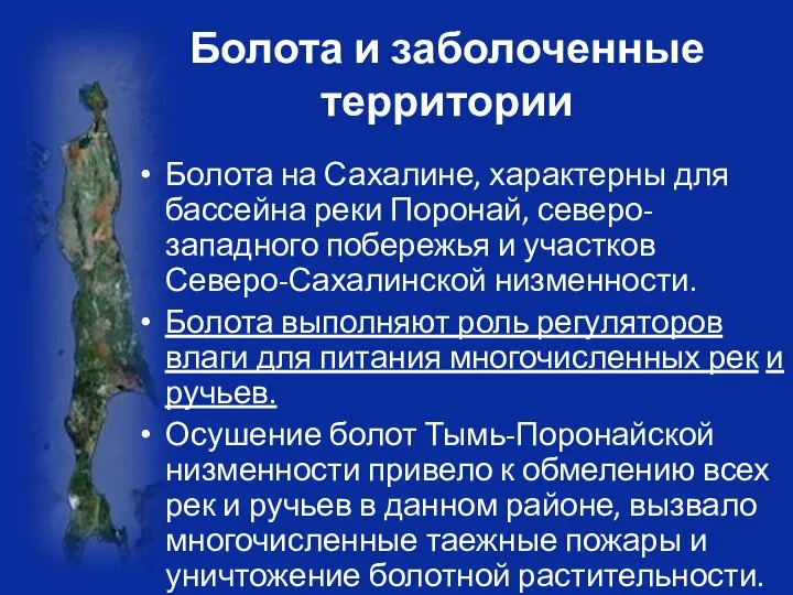 Болота и заболоченные территории Болота на Сахалине, характерны для бассейна реки