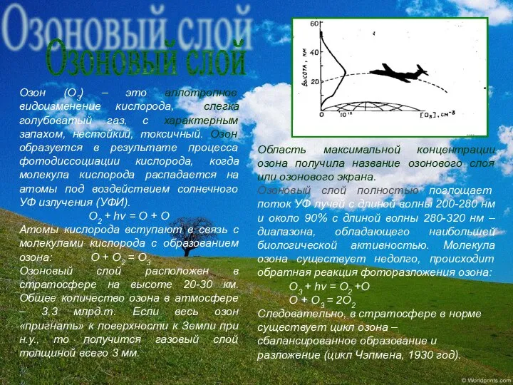 Озоновый слой Озон (О3) – это аллотропное видоизменение кислорода, слегка голубоватый